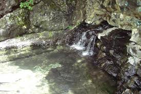 چشمه آب گرم علی داشی